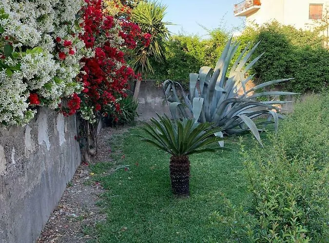 Bed & Breakfast Domus Vettii