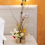 Domus Vettii Bed & Breakfast Pompei