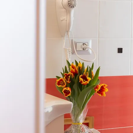Domus Vettii Bed and Breakfast
